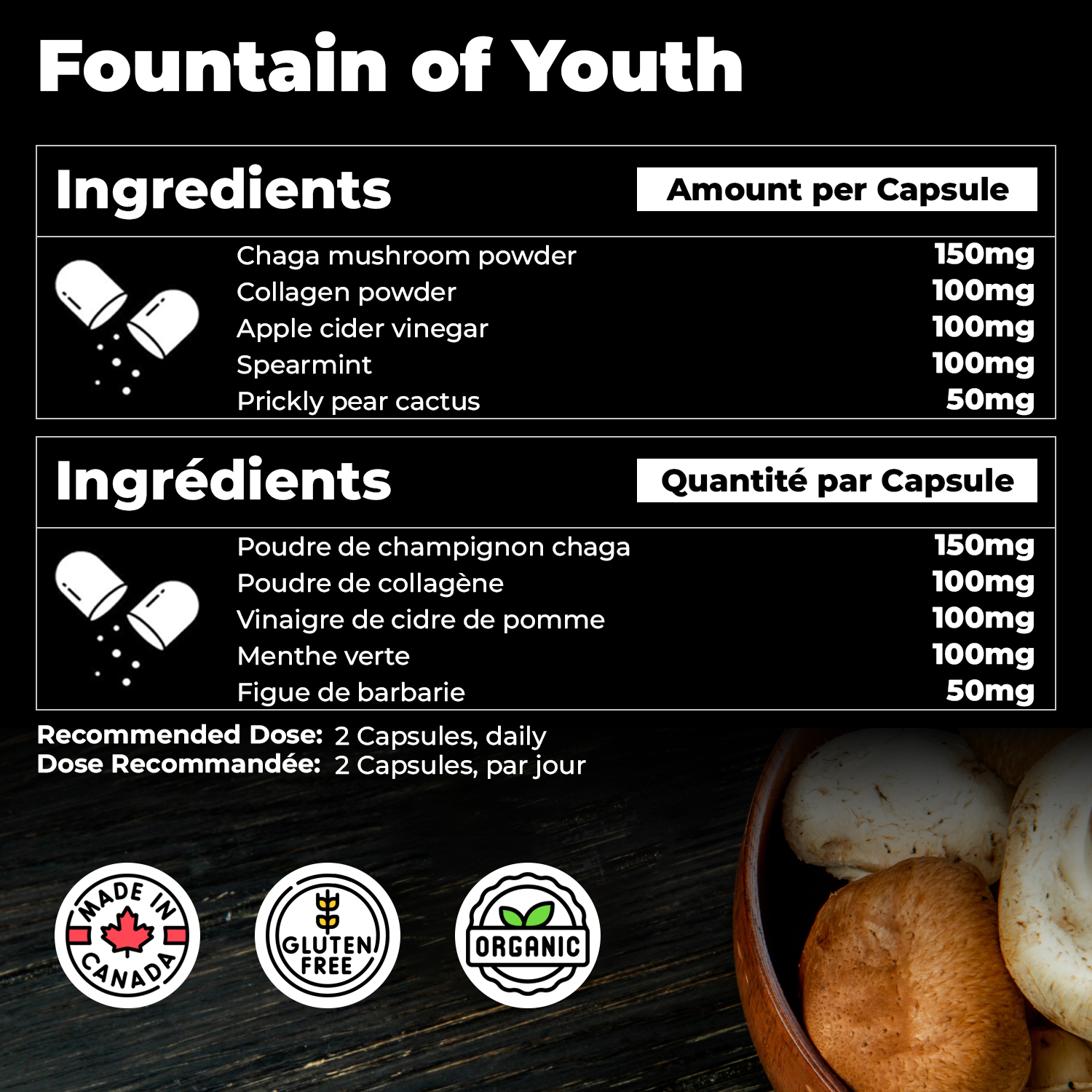 Fountain of Youth - Image 3